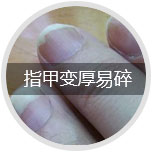 ָ�ױ������